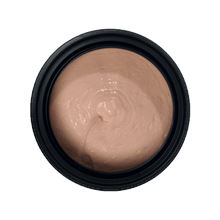 P.T.M - PROSTHETIC TRANSFER MATERIAL P.T.M - PROSTHETIC TRANSFER MATERIAL