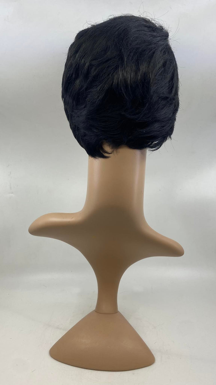 WIG- SHORT BLACK WIG- SHORT BLACK