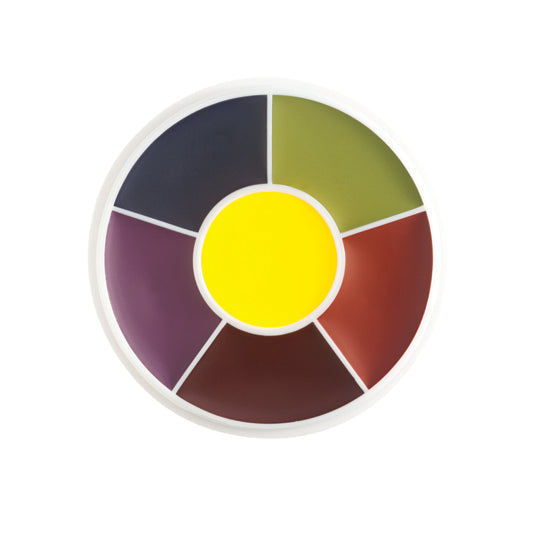 Ben Nye Master Bruise Wheel 6 colour palette