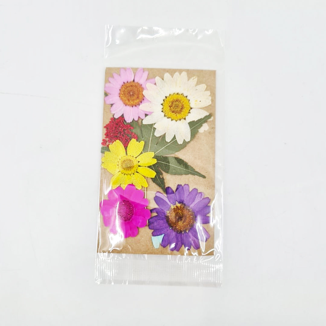 PRESSED FLOWER PACKS